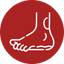foot