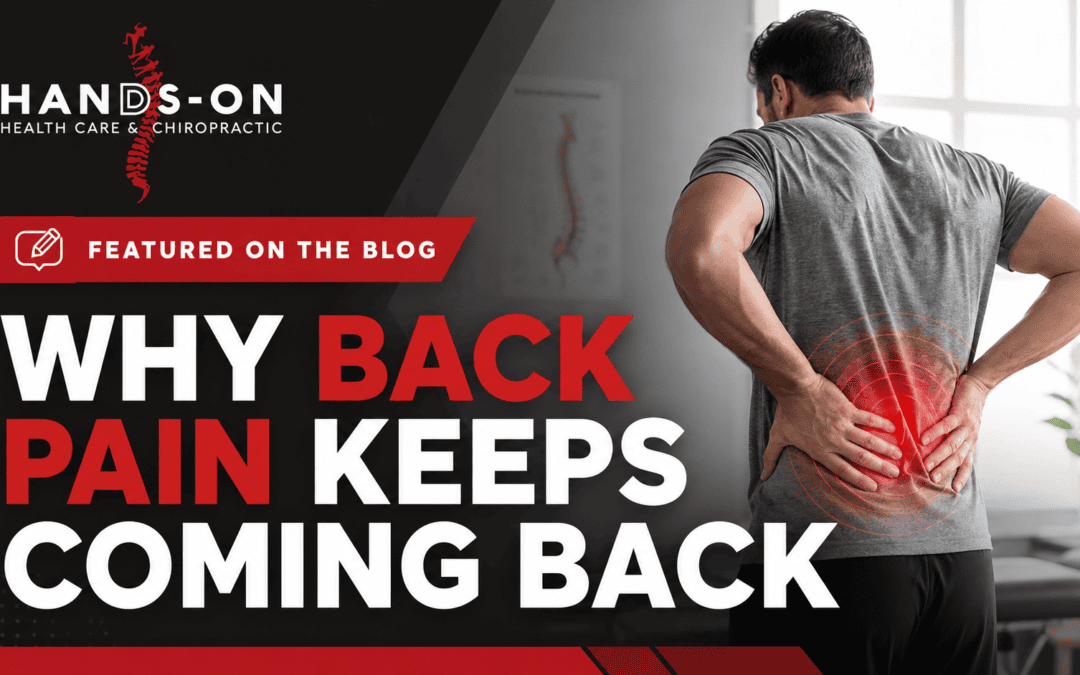 Why back pain keeps coming back blog from Hands-On Health Care and Chiropractic
